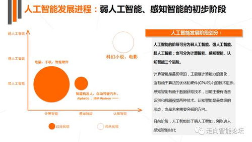 人工智能重磅報告 產業結構圖譜及全球大公司布局一應俱全 附ppt全文